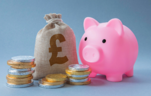 Employer National Insurance Contributions